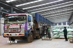 Hoạt động tại một nhà xưởng sản xuất ở tỉnh Kratie (Campuchia). (Ảnh minh họa: Huỳnh Thảo/TTXVN)