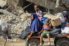 Người dân sơ tán khỏi thành phố Khan Younis, Dải Gaza hồi tháng Tám năm ngoái. (Ảnh: THX/TTXVN)