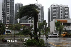 Gió lớn khi bão Ragasa đổ bộ, tại thành phố Dương Giang, tỉnh Quảng Đông (Trung Quốc), ngày 24/9/2025. (Ảnh: THX/TTXVN)