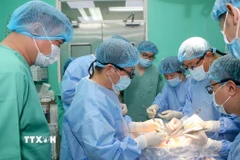 Êkíp thực hiện ca ghép tạng tại Bệnh viện Trung ương Huế. (Ảnh: TTXVN phát)