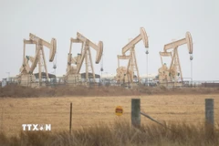 Giàn khoan dầu tại Texas (Mỹ). (Ảnh: THX/TTXVN)