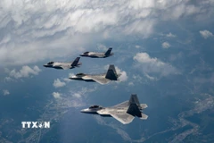 Tiêm kích F-35A của Hàn Quốc và F-22 của Mỹ tham gia cuộc tập trận chung ở Chungcheong (Hàn Quốc) hồi tháng Năm năm ngoái. (Ảnh: Yonhap/TTXVN)