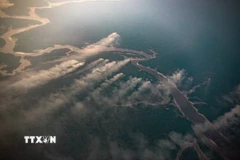 Khói bốc lên từ một đám cháy rừng Amazon ở bang Amazonas (Brazil). (Ảnh: Getty Images/TTXVN)