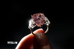 Viên kim cương hồng Fortune Pink được giới thiệu tại Geneva (Thụy Sĩ) ngày 23/9/2022. (Ảnh minh họa: AFP/TTXVN)