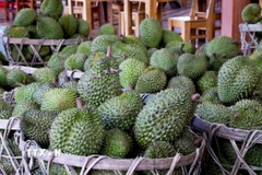 Sầu riêng. (Ảnh: Hồng Đạt/TTXVN)