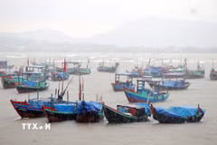 (Ảnh minh họa. Nguồn: TTXVN)