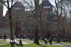 Sinh viên trong khuôn viên Đại học Harvard ở Cambridge, bang Massachusetts (Mỹ) ngày 15/4/2025. (Ảnh: Reuters/TTXVN)