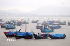 Ảnh minh họa. (Ảnh: Công Tường/TTXVN)