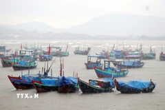 Ảnh minh họa. (Ảnh: Công Tường/TTXVN)