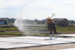 Độc đáo quy trình làm muối của diêm dân vùng ven biển, bãi ngang ở Nghệ An