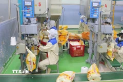 Đóng gói gạo xuất khẩu tại nhà máy của Công ty Lương thực Thạo Sơn. (Ảnh: Công Mạo/TTXVN)