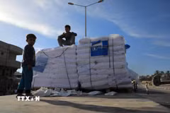 Hàng viện trợ của UNRWA tại Dải Gaza. (Ảnh: THX/TTXVN)