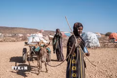 Người dân tại trại tị nạn ở Gode (Ethiopia). (Ảnh: AFP/TTXVN)