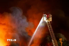 Ảnh minh họa. (Ảnh: REX/TTXVN)