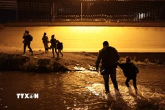 Ảnh minh họa. (Ảnh: THX/TTXVN)