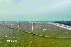Các turbin gió tại Nhà máy điện gió Hàn Quốc-Trà Vinh. (Ảnh: Vũ Sinh/TTXVN)
