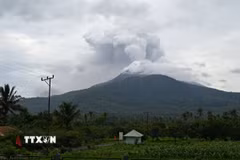 Ảnh minh họa.(Nguồn: THX/TTXVN)
