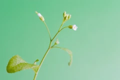 Ảnh minh họa. (Ảnh: CGTN)