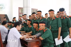 Đông đảo cán bộ, đoàn viên, thanh niên đã tình nguyện đăng ký tham gia hiến máu. (Ảnh: Lê Xuân/TTXVN)