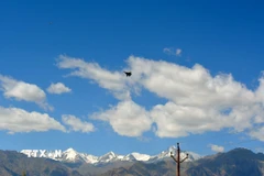 Một máy bay MiG-29. (Ảnh minh họa: ANI/TTXVN)