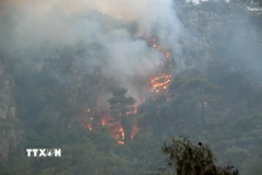 Ảnh minh họa. (Ảnh: THX/TTXVN)