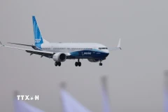 Máy bay của hãng Boeing. (Ảnh: THX/TTXVN)