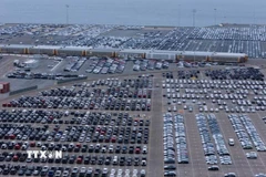 Ôtô chờ xuất khẩu tại cảng ở San Diego, bang California (Mỹ), ngày 26/3/2025. (Ảnh: Reuters/TTXVN)