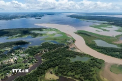 Sông Amazon tại Manaus, bang Amazonas (Brazil). (Ảnh minh họa: THX/TTXVN)
