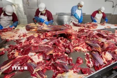 Một xưởng chế biến thịt bò tại Rigby, Idaho (Mỹ). (Ảnh: AFP/TTXVN)