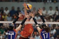 Ảnh minh họa. (Nguồn: Minh Quyết/TTXVN)