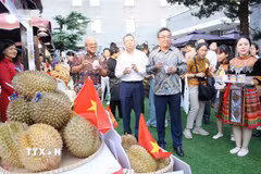 Đại sứ, đại diện các nước ASEAN tại Bắc Kinh tham quan gian hàng của Việt Nam. (Ảnh: Công Tuyên/TTXVN)
