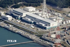 Lò phản ứng số 6 tại nhà máy điện hạt nhân Kashiwazaki-Kariwa ở tỉnh Niigata, Tây Bắc Tokyo (Nhật Bản). (Ảnh: Kyodo/TTXVN)