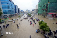 Ngập lụt sau mưa lớn tại Karachi (Pakistan) ngày 19/8/2025. (Ảnh: THX/TTXVN)