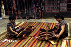 Các nghệ nhân trình diễn kỹ thuật dệt thổ cẩm tại Festival nghề truyền thống Quảng Nam hồi năm ngoái. (Ảnh: Trịnh Bang Nhiệm/TTXVN)