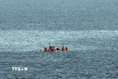 Ảnh minh họa. (Ảnh: AFP/TTXVN)