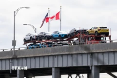 Vận chuyển ôtô mới sản xuất qua cầu Lewiston-Queenston tới Canada, ngày 9/4/2025. (Ảnh: THX/TTXVN)