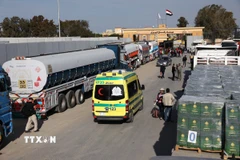 Xe tải chở hàng viện trợ nhân đạo chờ qua cửa khẩu Rafah từ Ai Cập để vào Gaza, ngày 19/1/2025. (Ảnh: THX/TTXVN)