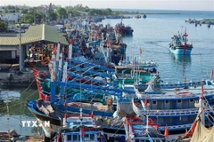 Neo đậu tàu thuyền để ứng phó với cơn bão trước khi đổ bộ vào đất liền. (Ảnh: Nguyễn Thành/TTXVN)