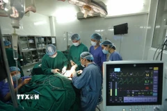 Ảnh chỉ mang tính minh họa. (Ảnh: Minh Quyết/TTXVN)