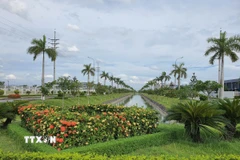 Dự thảo Nghị định về quản lý công viên, cây xanh, mặt nước