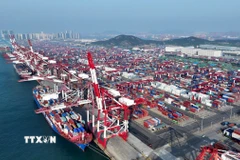 Cảng hàng hóa ở Thanh Đảo, tỉnh Sơn Đông (Trung Quốc). (Ảnh: THX/TTXVN)
