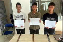 Các đối tượng bị bắt giữ. (Ảnh: TTXVN phát)