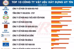 (Nguồn: Vietnam Report, tháng 3/2025)