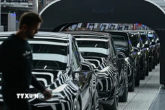 Doanh số của Tesla đang giảm mạnh chưa từng thấy. (Ảnh: AFP/TTXVN)