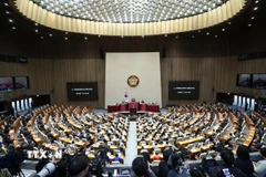 Một phiên họp Quốc hội Hàn Quốc tại Thủ đô Seoul. (Ảnh: THX/TTXVN)