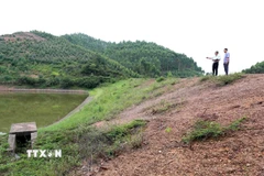 Ảnh minh họa. (Ảnh: TTXVN)
