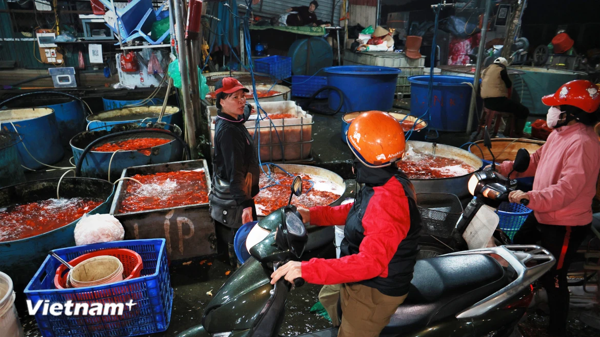 Chợ cá lớn nhất Thủ đô hối hả trong đêm trước ngày ông Công ông Táo