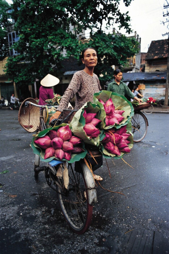 "Sen tháng Sáu" (2005). Ảnh do Nicolas Cornet chụp, trưng bày tại triển lãm. ky-uc-cornet-3-1714040641774307552468.jpg