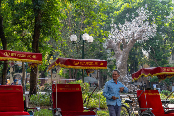 https://media.vietnamplus.vn/images/d8f0fc948a89ba2e829cfb1cd2ed509bb634943fabf6917af065a61b62eb67798c2ec56baeb7d3df7756f828020574df/dsc06946.jpg