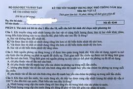 Đề thi môn Vật lý. (Ảnh: PV/Vietnam+)